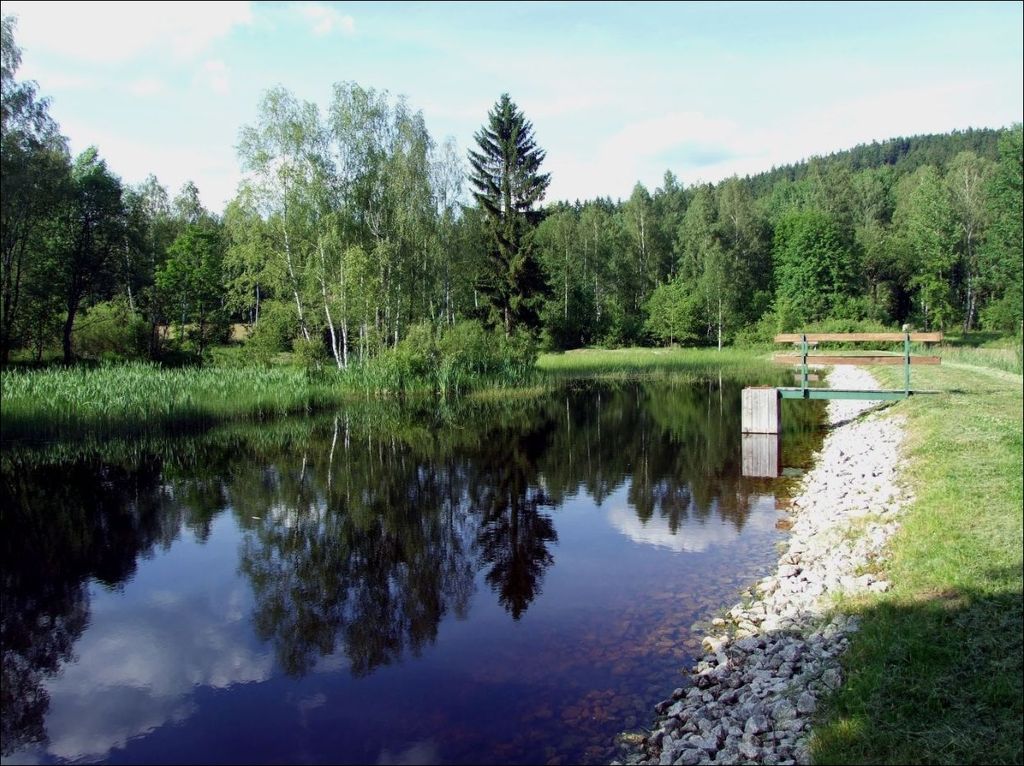 Rybník Křísák v Horních Lučanech.