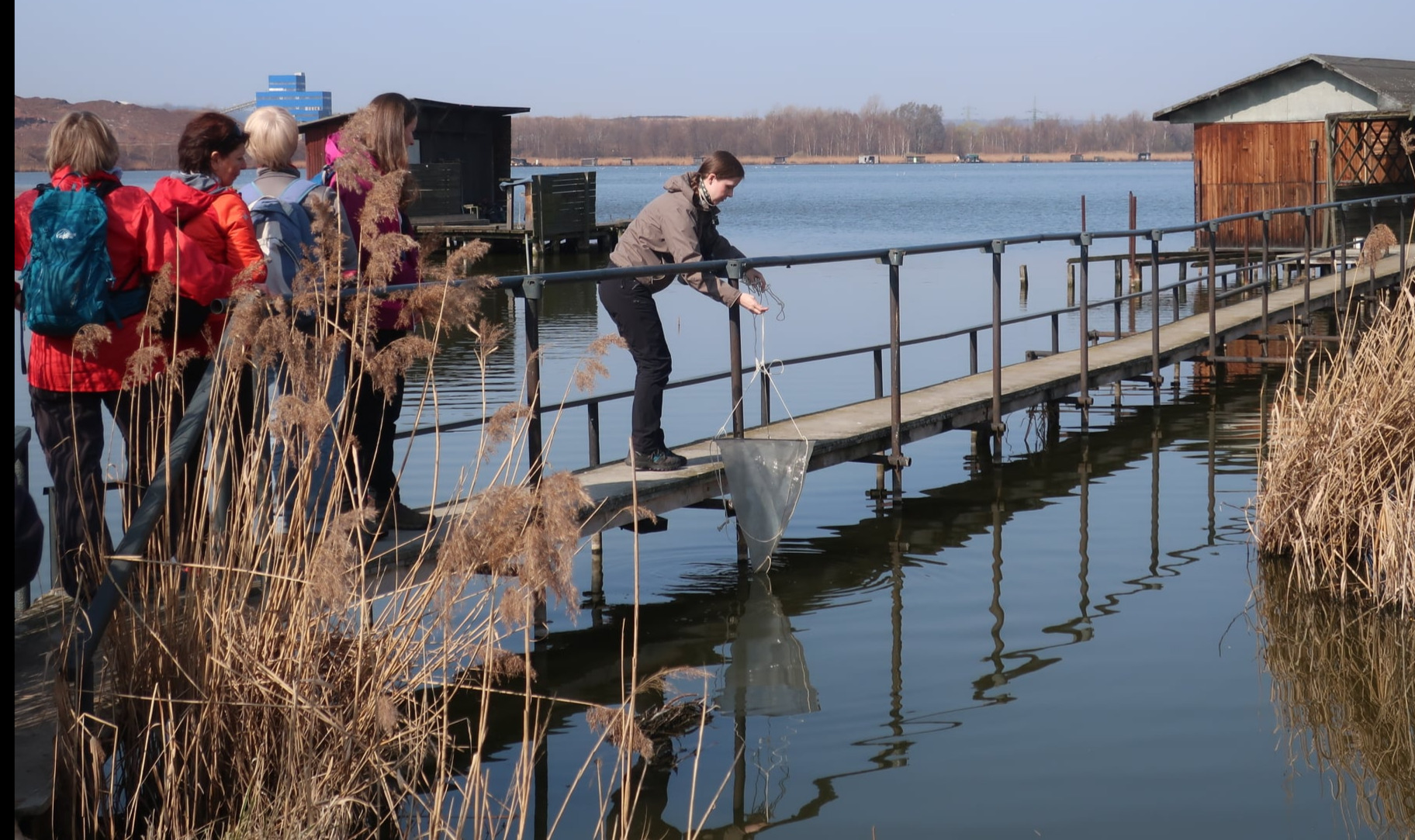 Odlov zooplanktonu zajistila Anička z ČSOP Alces