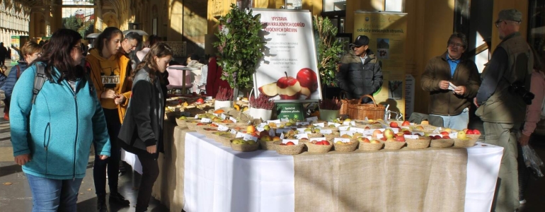 Voňavý jablečný festival se vrací do Mariánských Lázní